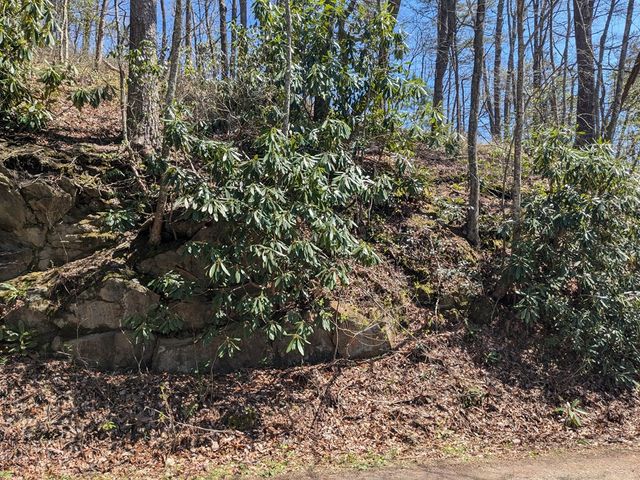 Trk 1&2 Kimsey Mountain Hwy, Turtletown, TN 37391