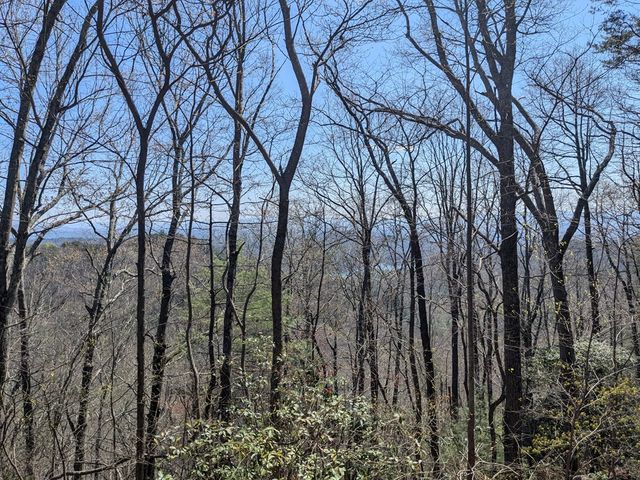 Trk 1&2 Kimsey Mountain Hwy, Turtletown, TN 37391