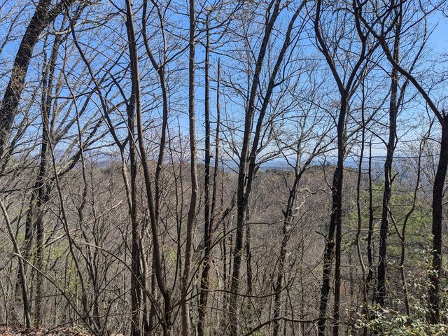 Trk 1&2 Kimsey Mountain Hwy, Turtletown, TN 37391