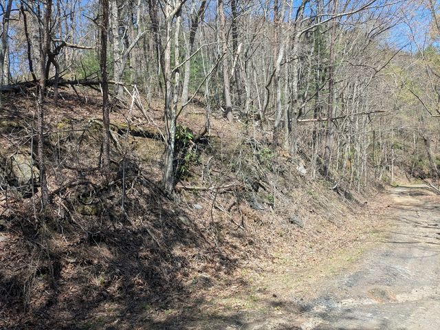 Trk 1&2 Kimsey Mountain Hwy, Turtletown, TN 37391