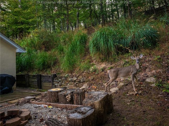 1538 Clark Road, Charleston, WV 25314