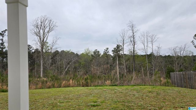 4884 MAE BETH CIRCLE, Mount Olive, AL 35117