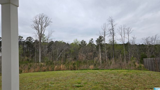 4884 MAE BETH CIRCLE, Mount Olive, AL 35117