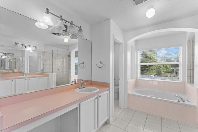 617 LAKESCAPE COURT, Orlando, FL 32828
