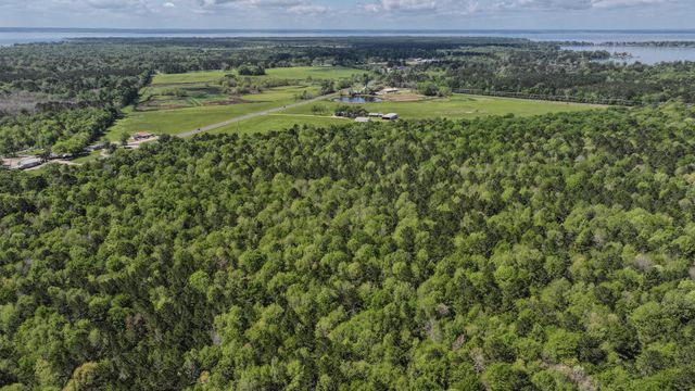 TBD F M 2457, Livingston, TX 77351