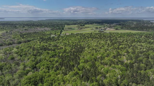 TBD F M 2457, Livingston, TX 77351