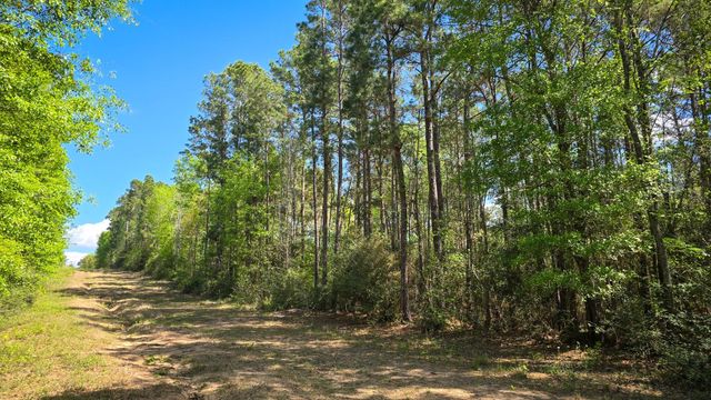 TBD F M 2457, Livingston, TX 77351