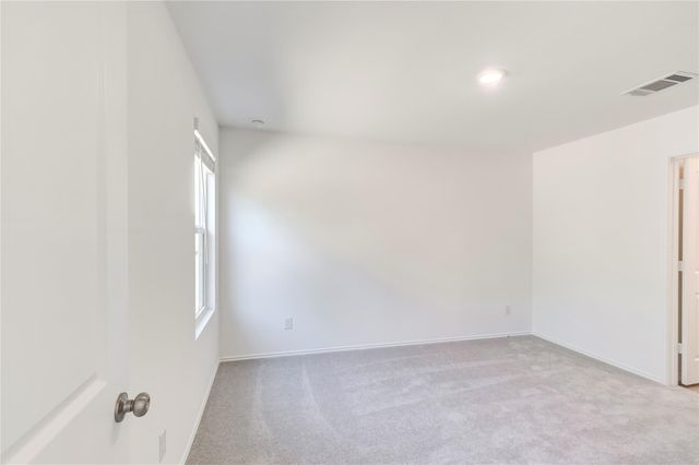 151 Pink Footed PASS, Uhland, TX 78640