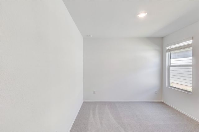 151 Pink Footed PASS, Uhland, TX 78640