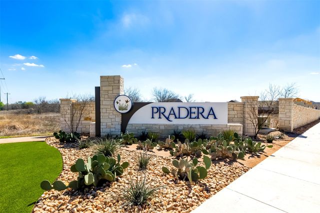 151 Pink Footed PASS, Uhland, TX 78640