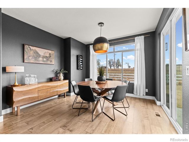 825 Shirttail Peak Drive, Windsor, CO 80550