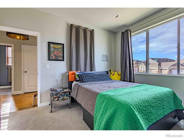 825 Shirttail Peak Drive, Windsor, CO 80550