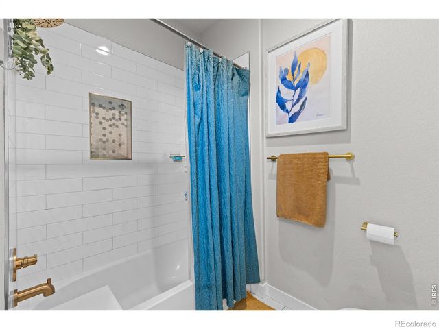 825 Shirttail Peak Drive, Windsor, CO 80550