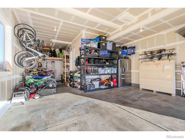 825 Shirttail Peak Drive, Windsor, CO 80550