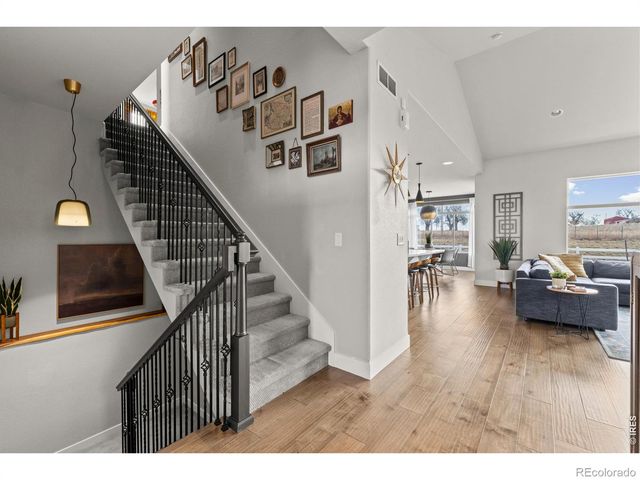 825 Shirttail Peak Drive, Windsor, CO 80550