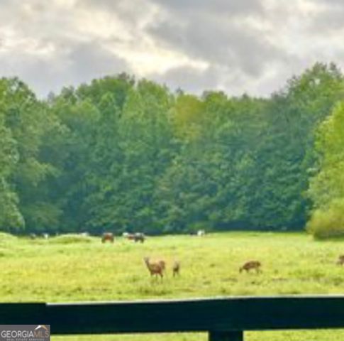 35 Canyon Pass, Cleveland, GA 30528