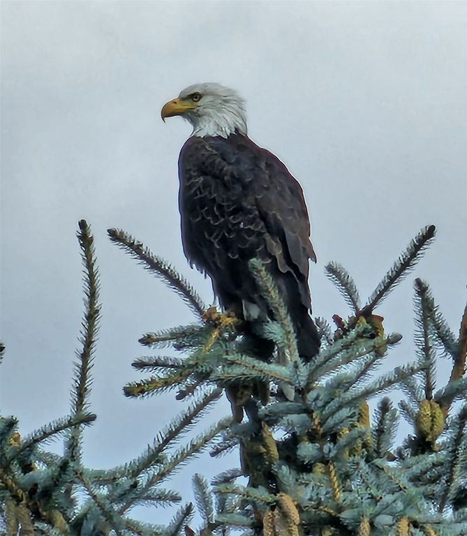 1555 Stillwater Road, Kalispell, MT 59901 photo 8