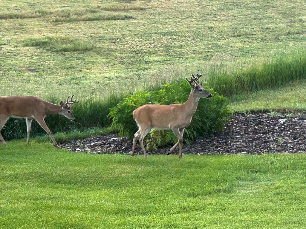 1555 Stillwater Road, Kalispell, MT 59901 photo 9