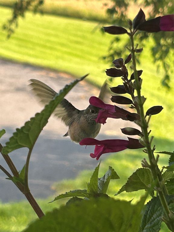 1555 Stillwater Road, Kalispell, MT 59901 photo 91