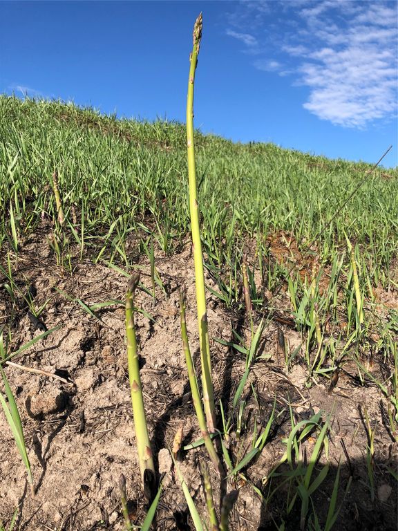 1555 Stillwater Road, Kalispell, MT 59901 photo 98