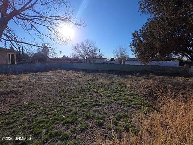 1209 S Locust Street, Las Cruces, NM 88001