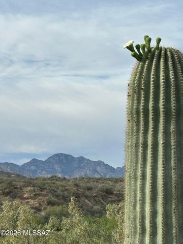 38327 S Arroyo Way, Tucson, AZ 85739