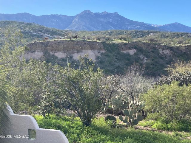 38327 S Arroyo Way, Tucson, AZ 85739