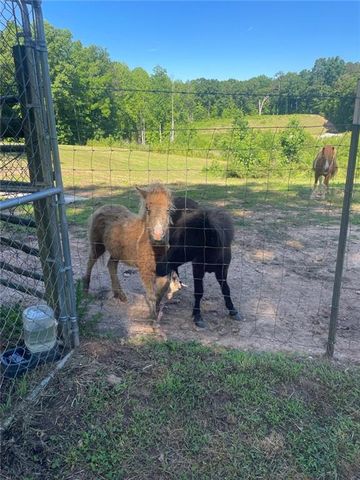 894 Lake Circle Rd, Buchanan, GA 30113