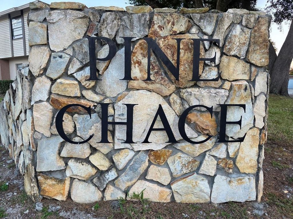 2031 PINE CHACE COURT, Tampa, FL 33613