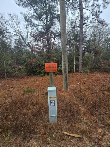 00 Clint Parker Road, Willis, TX 77303