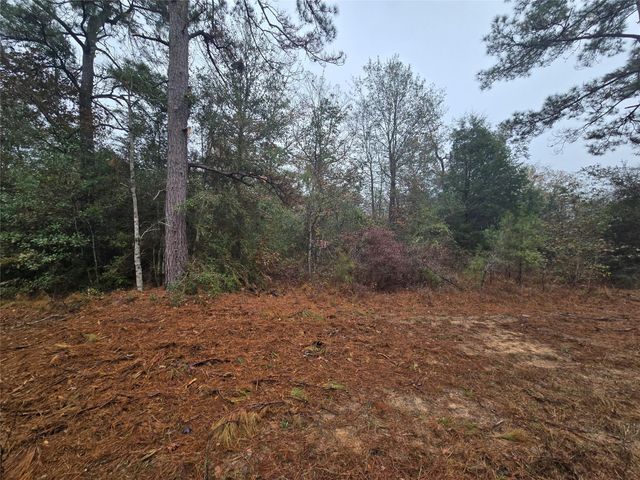 00 Clint Parker Road, Willis, TX 77303