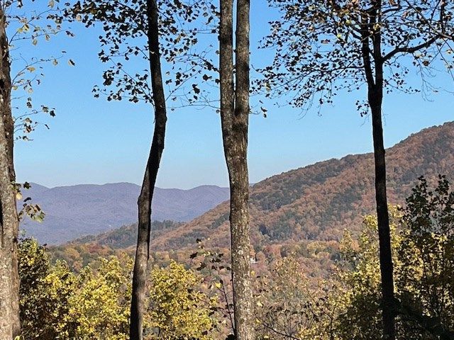 1189 Walnut Ridge, Ellijay, GA 30536