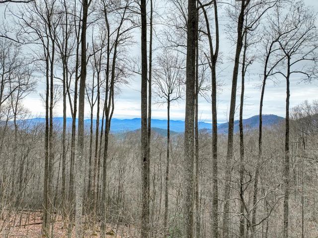 1189 Walnut Ridge, Ellijay, GA 30536
