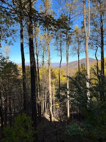 1189 Walnut Ridge, Ellijay, GA 30536