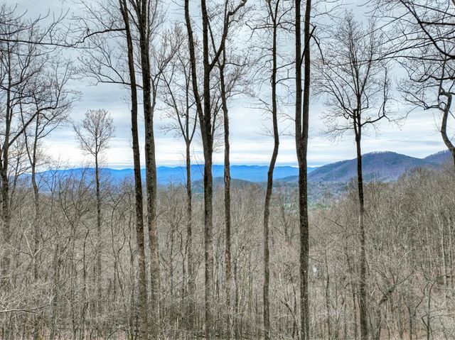 1189 Walnut Ridge, Ellijay, GA 30536