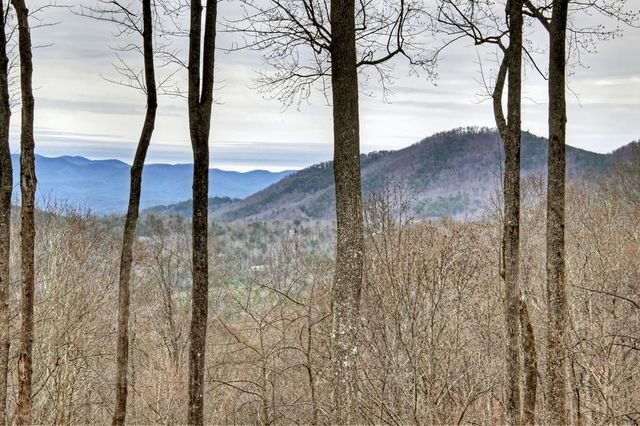 1189 Walnut Ridge, Ellijay, GA 30536
