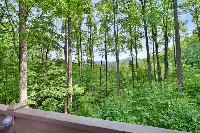 1189 Walnut Ridge, Ellijay, GA 30536