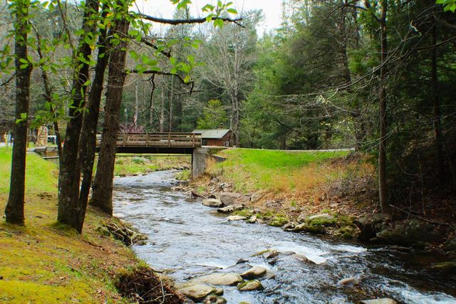 1189 Walnut Ridge, Ellijay, GA 30536