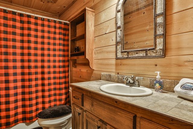 175 Cochise Road, Blue Ridge, GA 30513