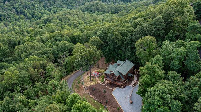 175 Cochise Road, Blue Ridge, GA 30513