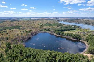 49.79 AC Forest Drive, Hancock, WI 54943