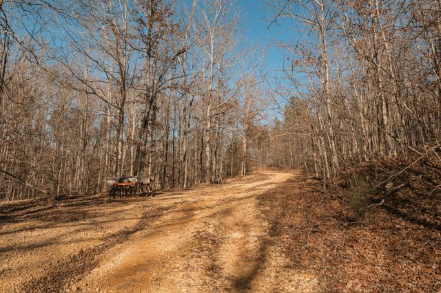 275 Preston Baggett Rd, Tennessee Ridge, TN 37178