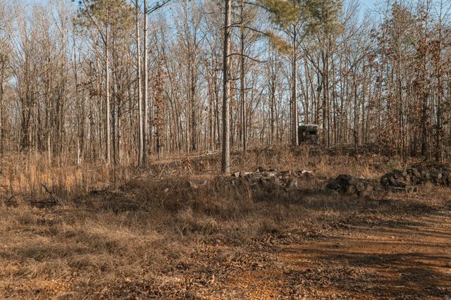 275 Preston Baggett Rd, Tennessee Ridge, TN 37178