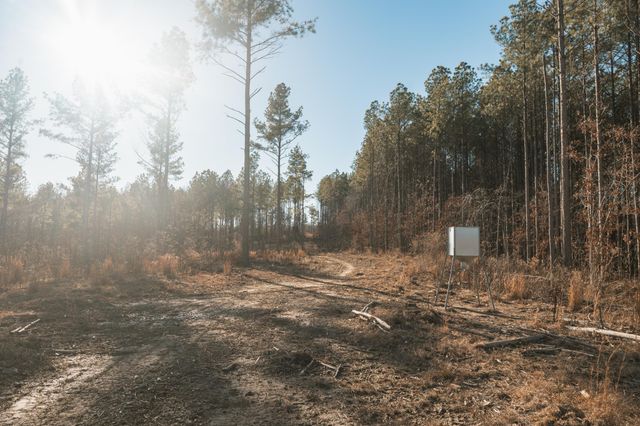 275 Preston Baggett Rd, Tennessee Ridge, TN 37178