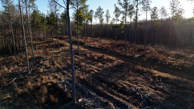 275 Preston Baggett Rd, Tennessee Ridge, TN 37178