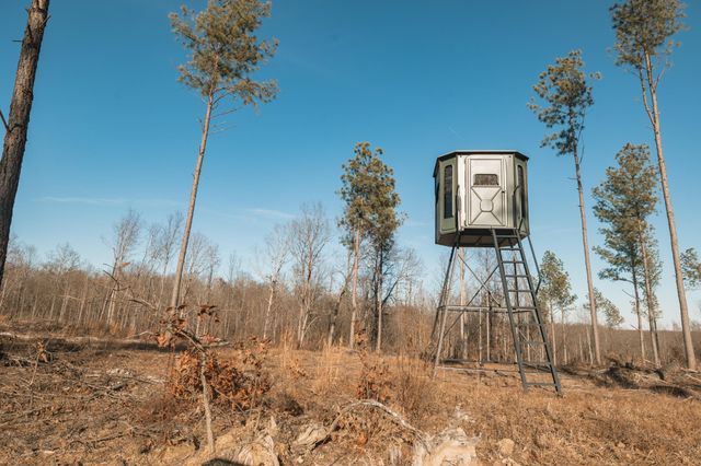 275 Preston Baggett Rd, Tennessee Ridge, TN 37178