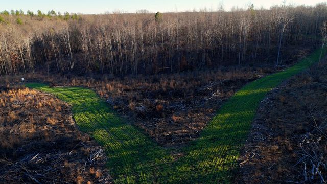 275 Preston Baggett Rd, Tennessee Ridge, TN 37178