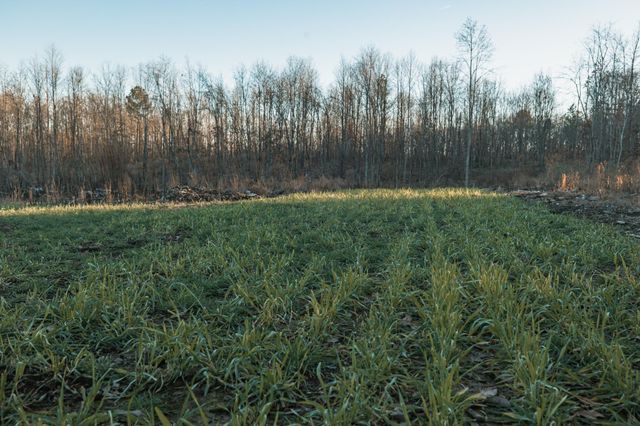 275 Preston Baggett Rd, Tennessee Ridge, TN 37178