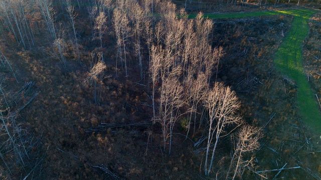 275 Preston Baggett Rd, Tennessee Ridge, TN 37178