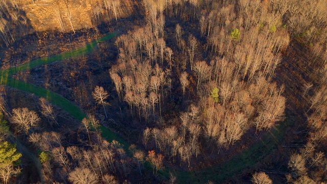 275 Preston Baggett Rd, Tennessee Ridge, TN 37178